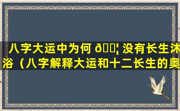 八字大运中为何 🐦 没有长生沐浴（八字解释大运和十二长生的奥秘）